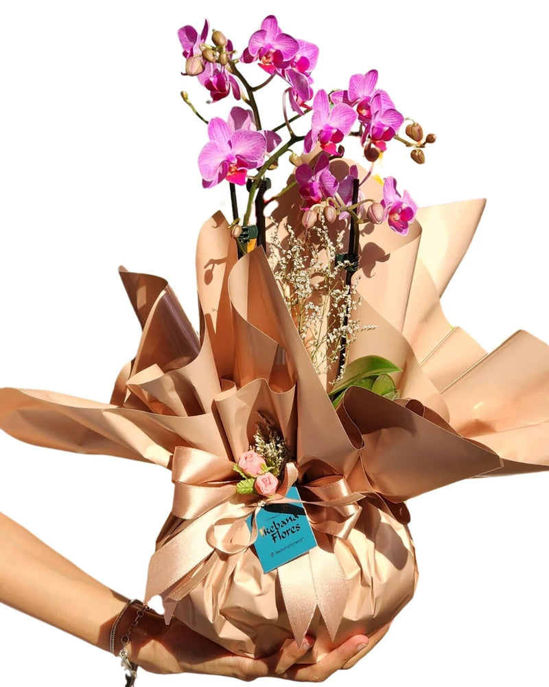 Mini Orquídea